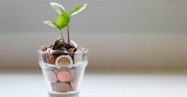 a plant in a cup of coins